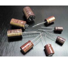 ELNA Silmic electrolytic capacitor 100uF 25V